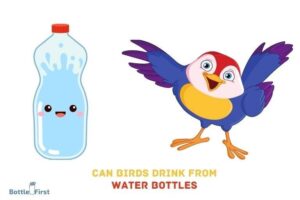 Can Birds Drink Out of a Water Bottle? Yes!
