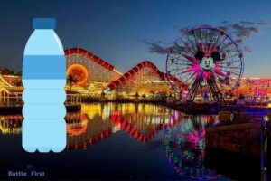Can You Bring Water Bottle into Disneyland? No!