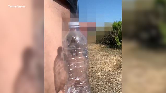 Penis Compared to Water Bottle