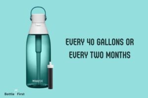 When to Change Brita Water Bottle Filter? Every 2 Months!