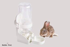 Why Does My Rabbit Water Bottle Leak? 7 Causes!