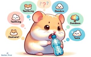 Why is My Hamster Chewing Her Water Bottle? Top 5 Reasons!