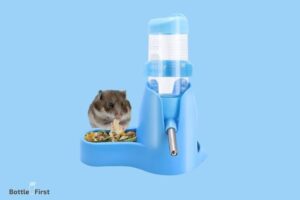 Will My Hamster Find the Water Bottle? Yes!