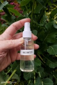 Alcohol in Spray Bottle to Sanitize