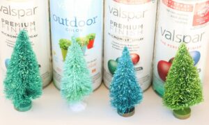 Can You Spray Paint Bottle Brush Trees