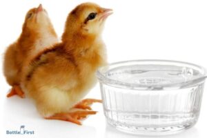 Can Chickens Drink from a Water Bottle? Yes!