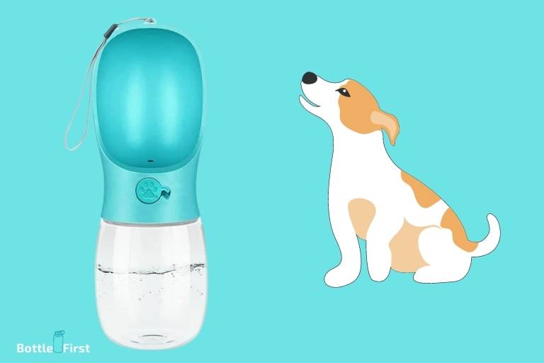 Can Dogs Drink From Water Bottle