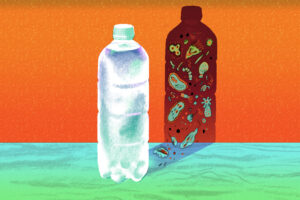 Can Water Go Bad in a Water Bottle