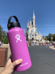 Can You Bring a Water Bottle into Disney World