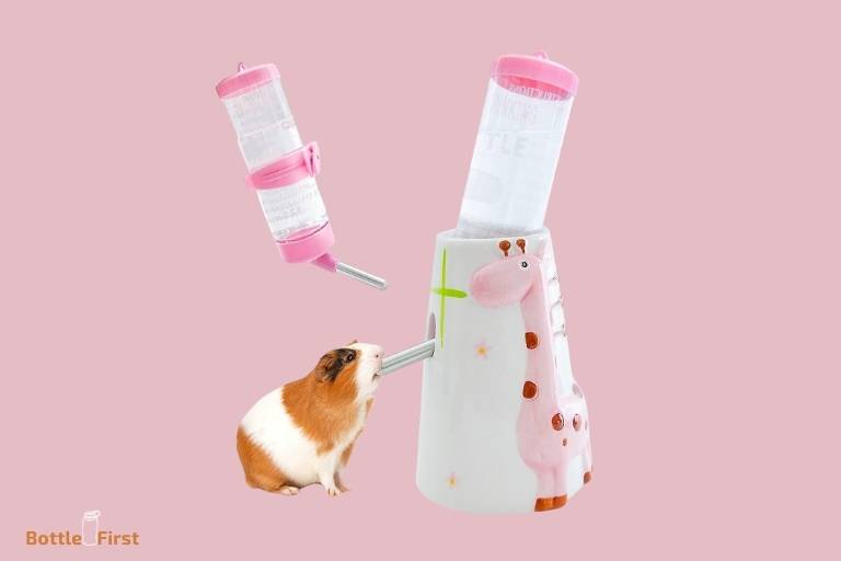 Do Guinea Pigs Need A Water Bottle