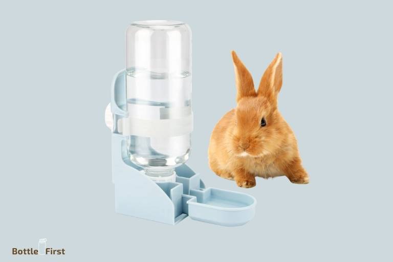 Do Rabbits Need A Water Bottle? Yes!