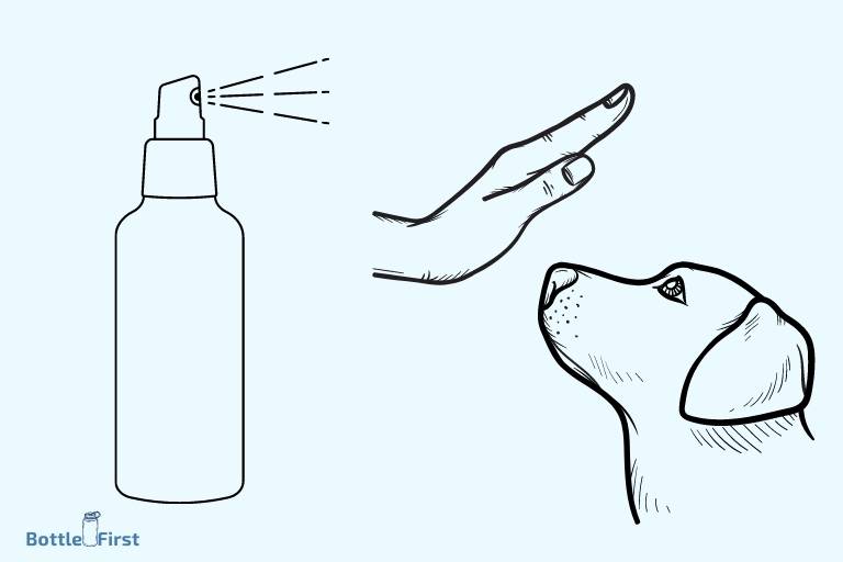 Is A Spray Bottle Good To Train Dogs