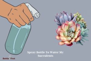 Can I Use a Spray Bottle to Water My Succulents? Yes!