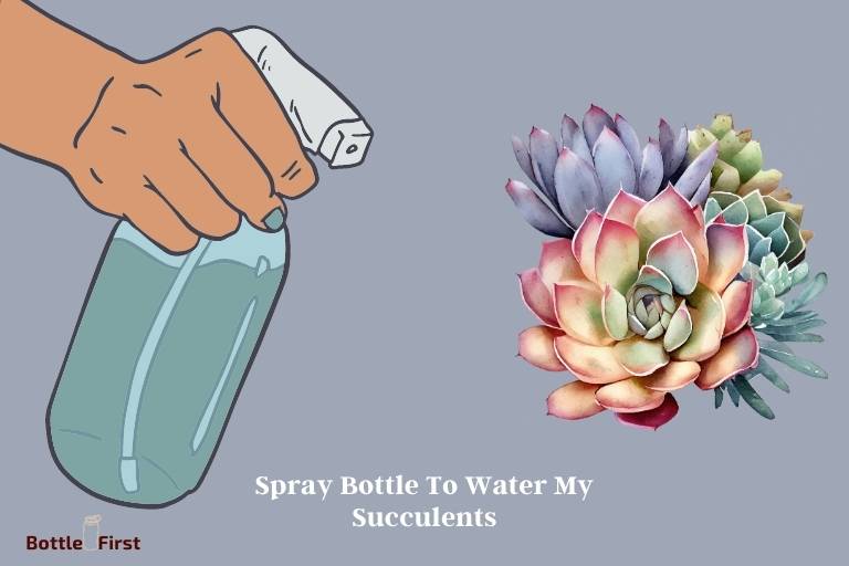 Can I Use A Spray Bottle To Water My Succulents