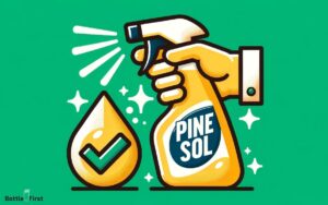 Can You Put Pine Sol in a Spray Bottle? Yes!