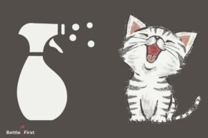 Is a Spray Bottle Good to Train Cats? Yes!