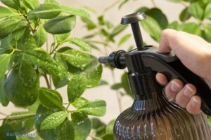 Spray Bottle to Increase Humidity – Yes!