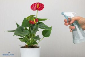 Spray Bottle to Water Plants – Yes!