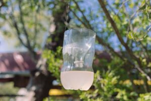 Diy Wasp Trap Water Bottle