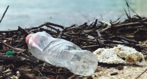 The Effect of Plastic Water Bottle to Environment