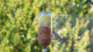 Water Bottle Bird Feeder Diy