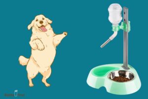 Diy Dog Water Bottle Stand: 10 Easy & Quick Steps!