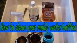 How to Remove Mold from Rubber Seal on Water Bottle