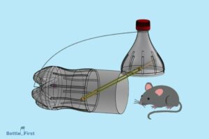 How to Make a Mousetrap With a Water Bottle? 9 Easy Steps