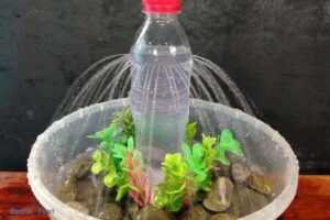 How to Make Water Bottle Fountain? 8 Easy Steps