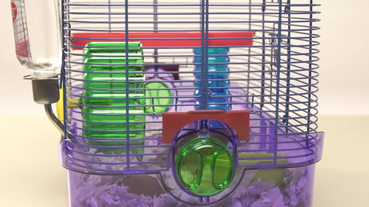 How to Set Up a Hamster Water Bottle