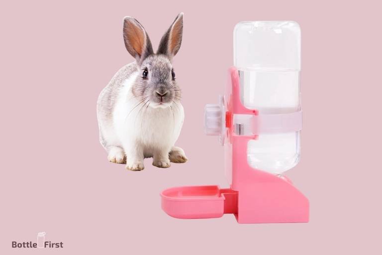 How To Make Rabbit Water Bottle