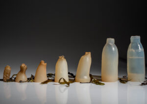 How to Make a Biodegradable Water Bottle