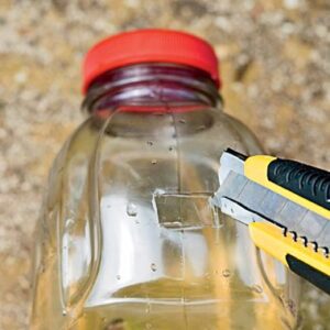 How to Make a Yellow Jacket Trap With Water Bottle
