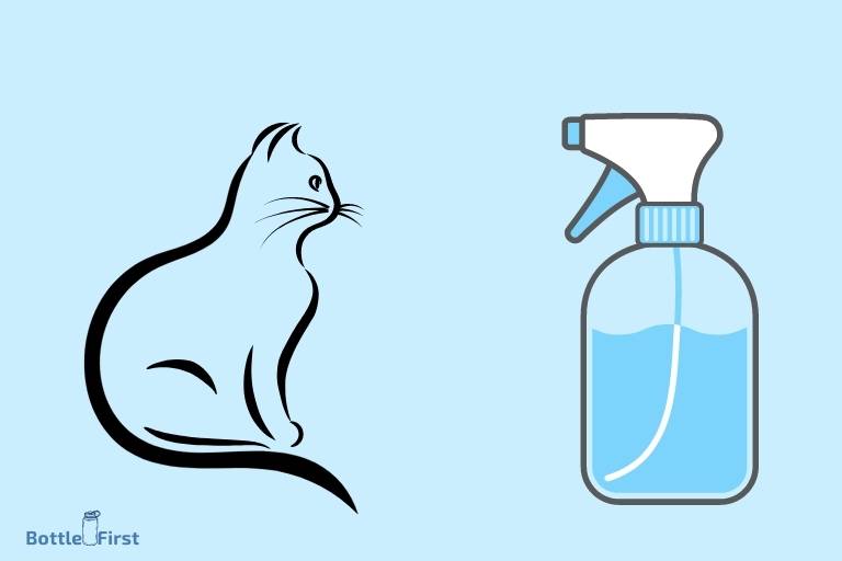 Why Do Cats Hate Spray Bottles