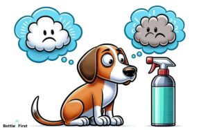 Why Do Dogs Hate Spray Bottles? Explained!
