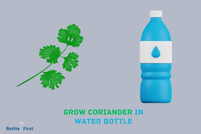 How To Grow Coriander In Water Bottle
