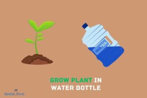 How to Grow Plant in Water Bottle? The Ultimate Guide