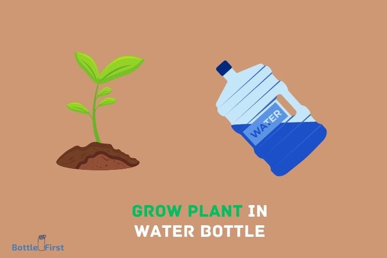 How To Grow Plant In Water Bottle
