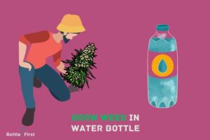 How to Grow Weed in Water Bottle? The Ultimate Guide