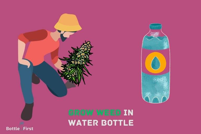 How To Grow Weed In Water Bottle