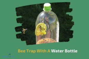 How to Make a Bee Trap With a Water Bottle? 7 Easy Steps