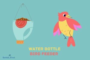 How to Make a Water Bottle Bird Feeder? 10 Easy Steps