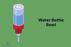 How to Make a Water Bottle Bowl? 6 Easy Steps