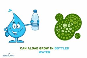 Can Algae Grow In Bottled Water: Yes!