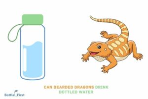 Can Bearded Dragons Drink Bottled Water: Yes!