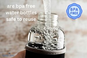 Are Bpa Free Water Bottles Safe to Reuse? Yes!