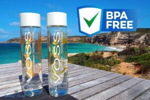 Are Voss Water Bottles Bpa Free? Yes!