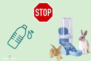 How to Stop Rabbit Water Bottle from Leaking? 8 Easy Steps!