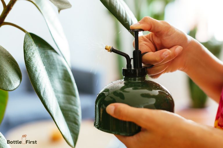 Can You Use A Spray Bottle To Mist Plants