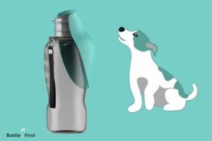 Diy Dog Water Bottle: Step By Step Guide!